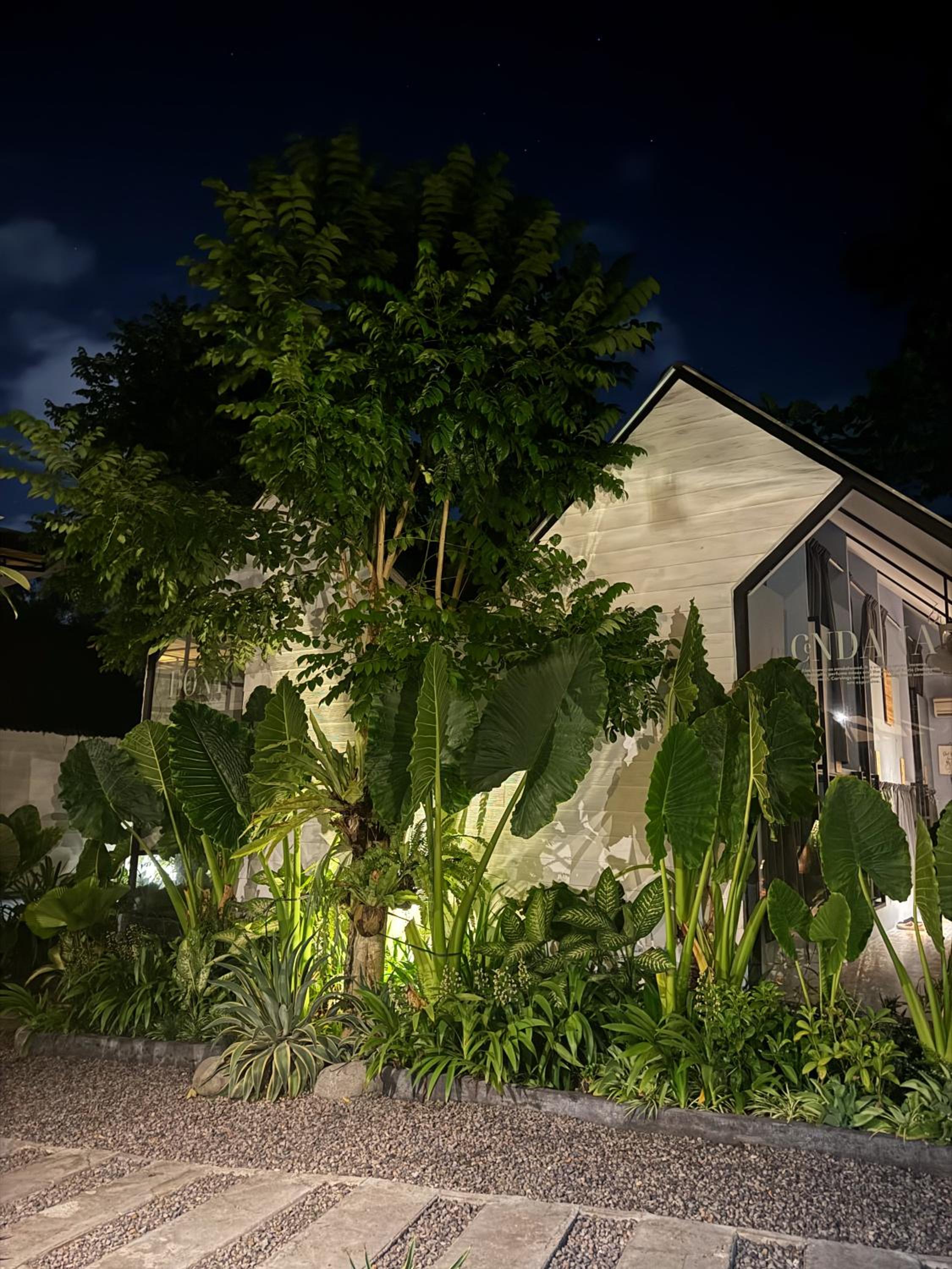 The Jungle Hostel Canggu — photo 123