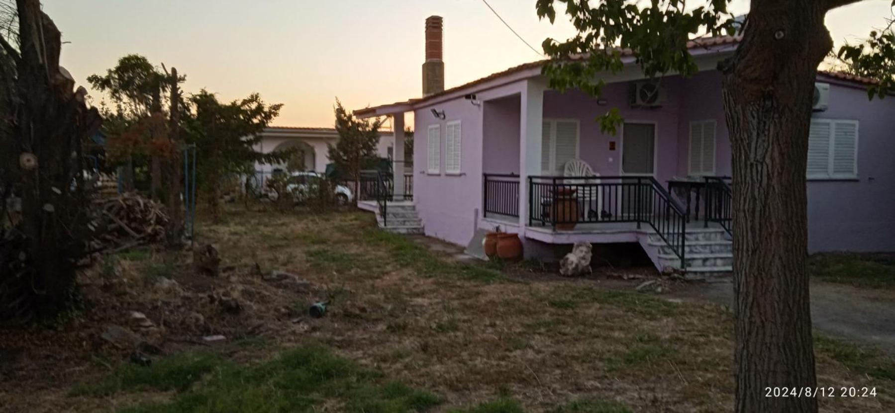 Korina house
