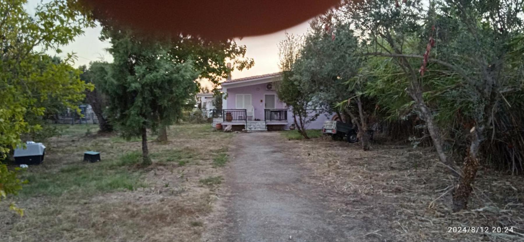 Korina house
