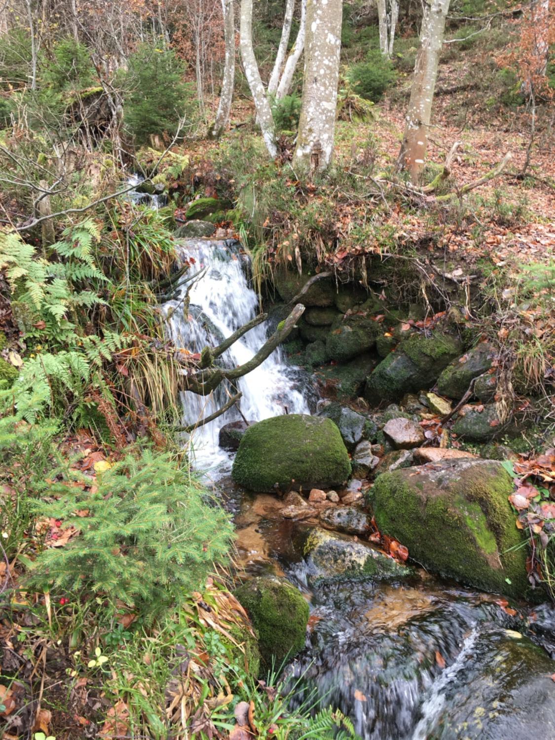Photo 38