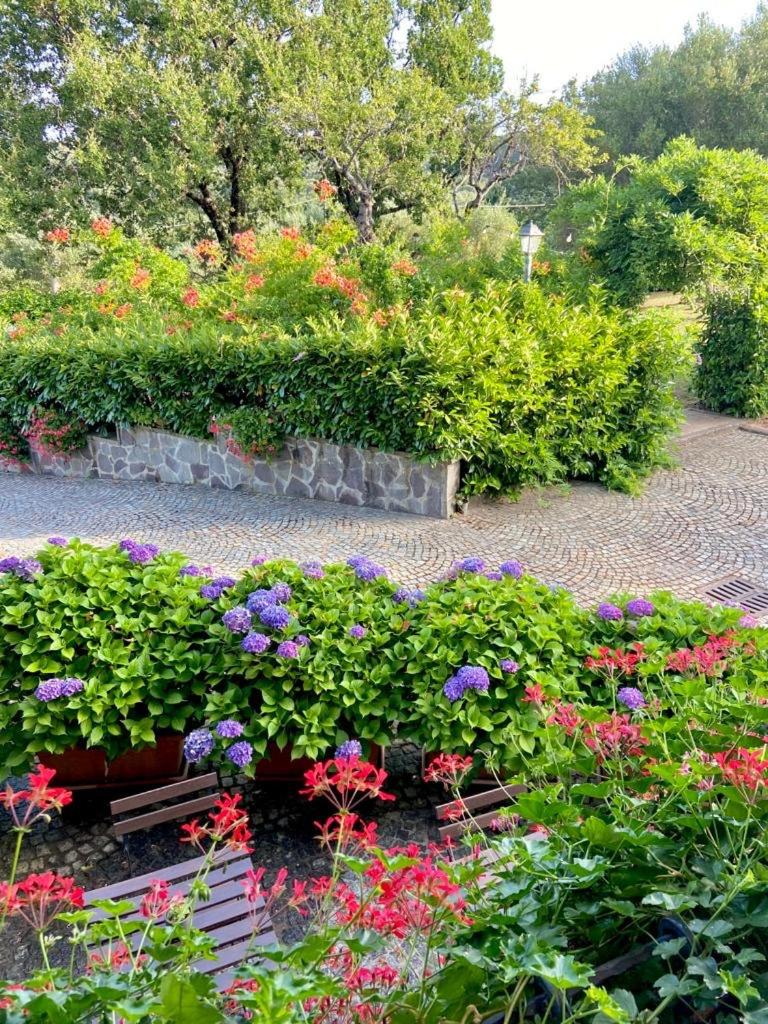 Antico Cilento