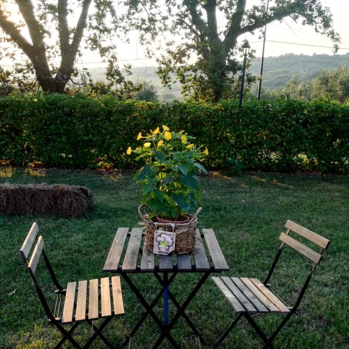 Antico Cilento