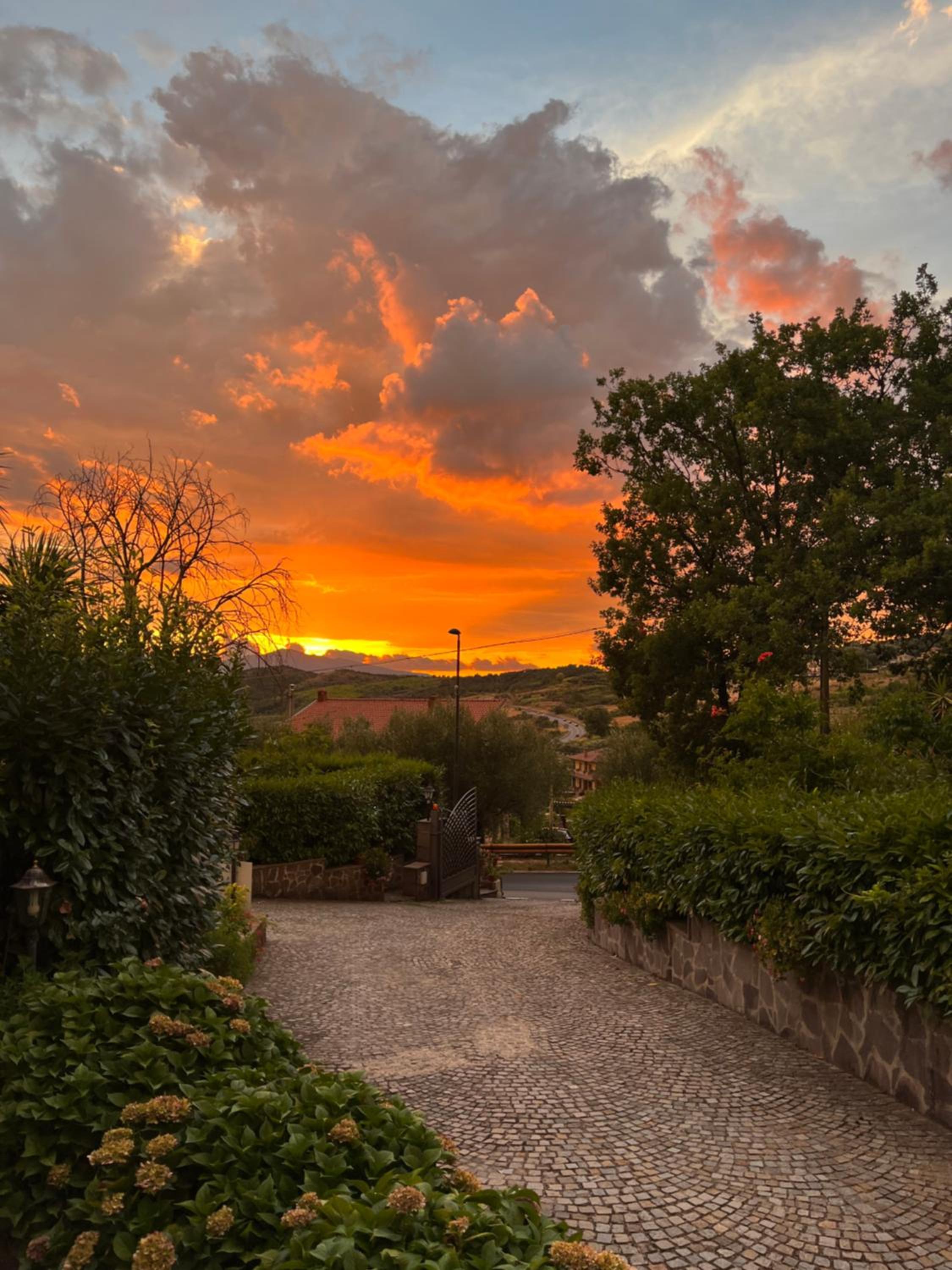 Antico Cilento