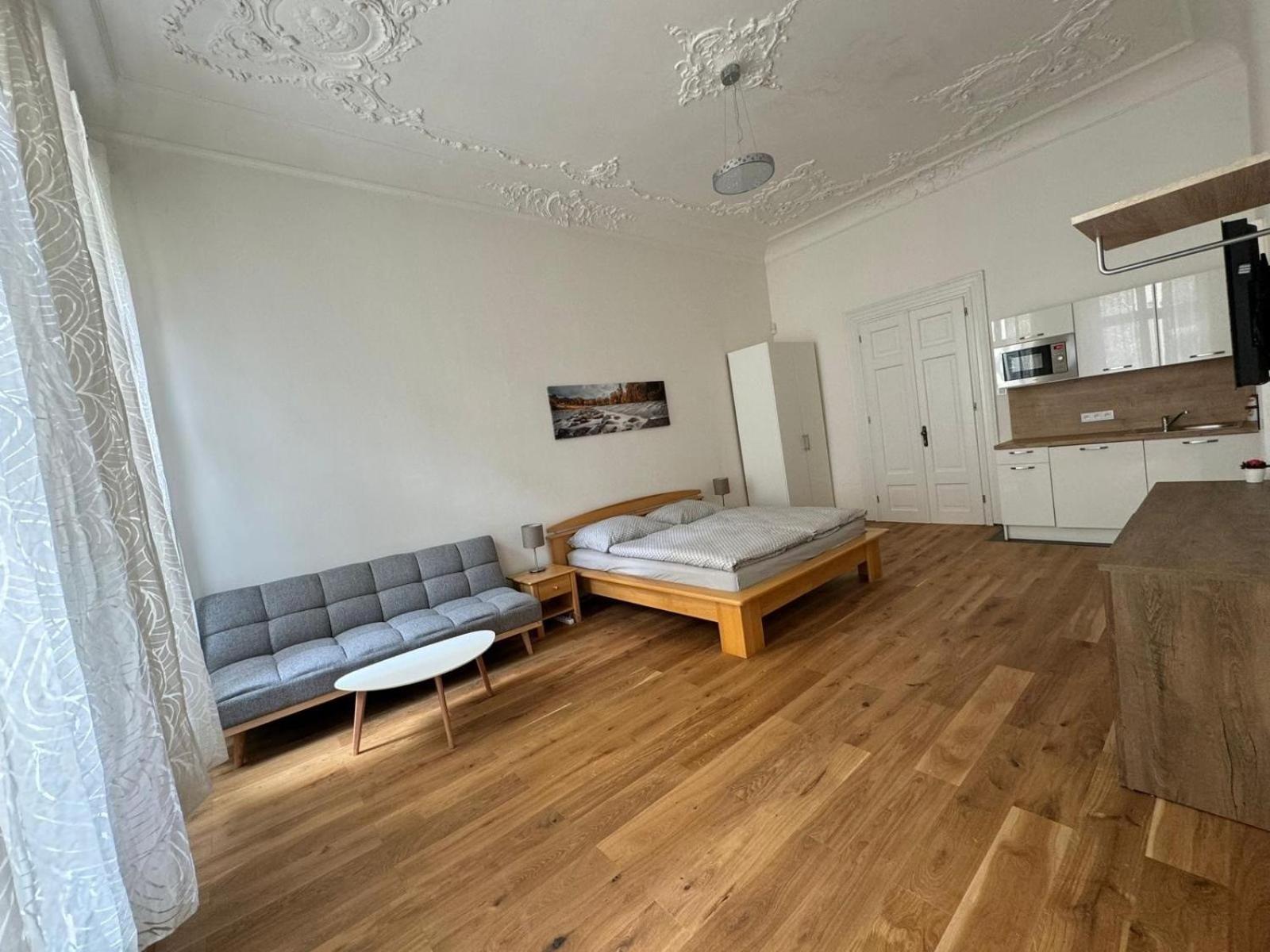 Palackeho Apartment