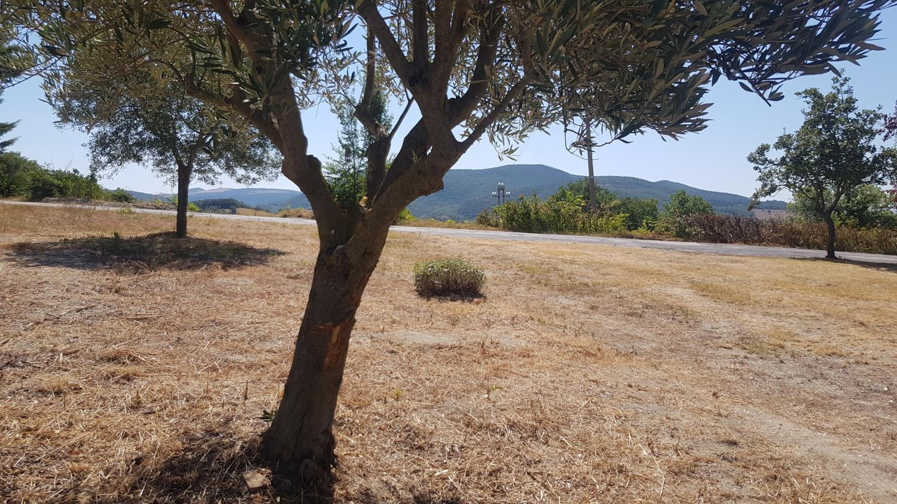 VILLA DUE TIGLI en Arcevia