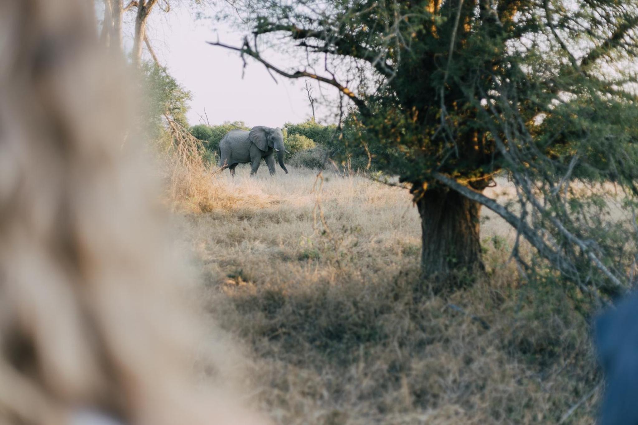 other