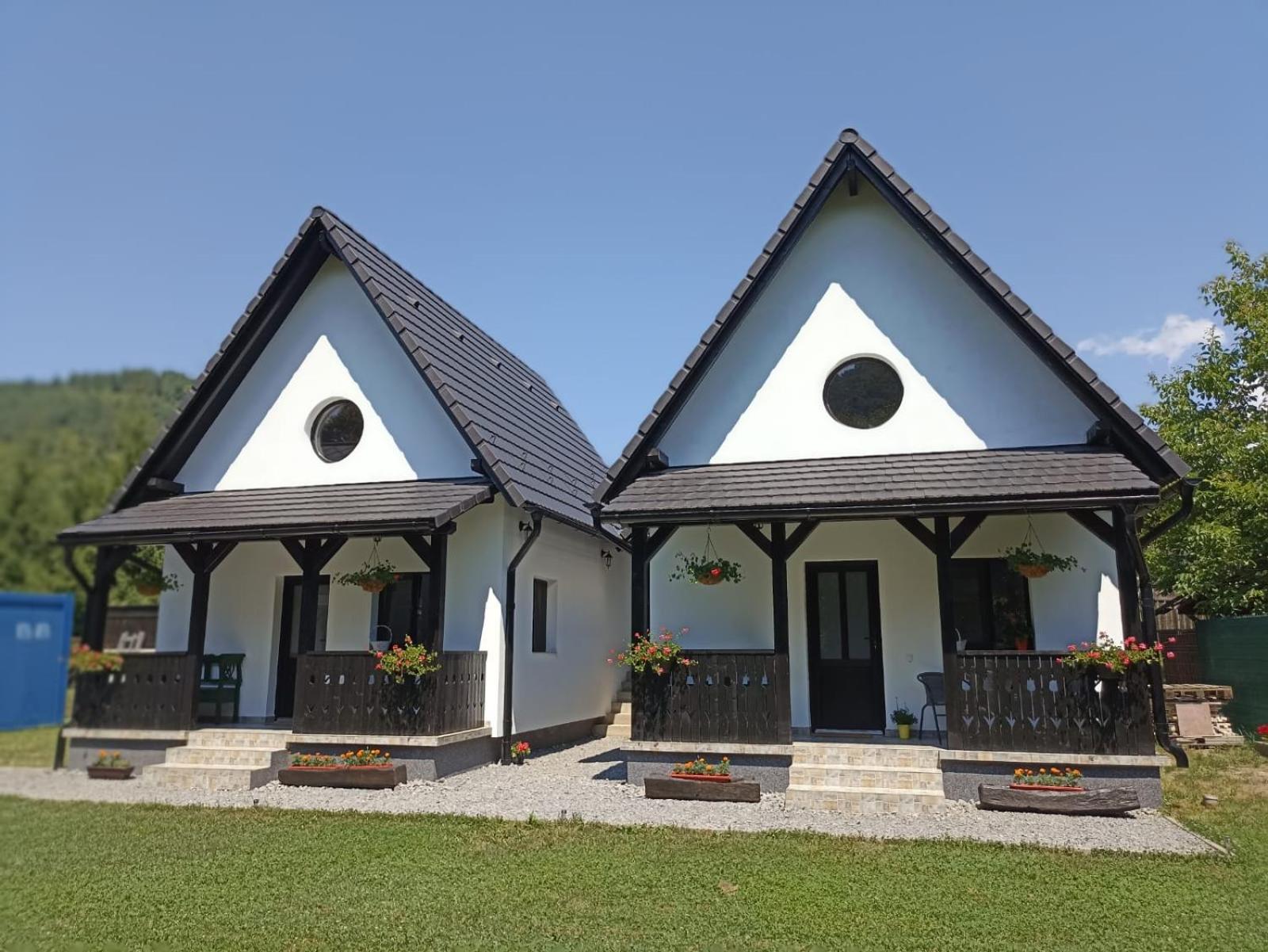 Zöld Tulipán view 2