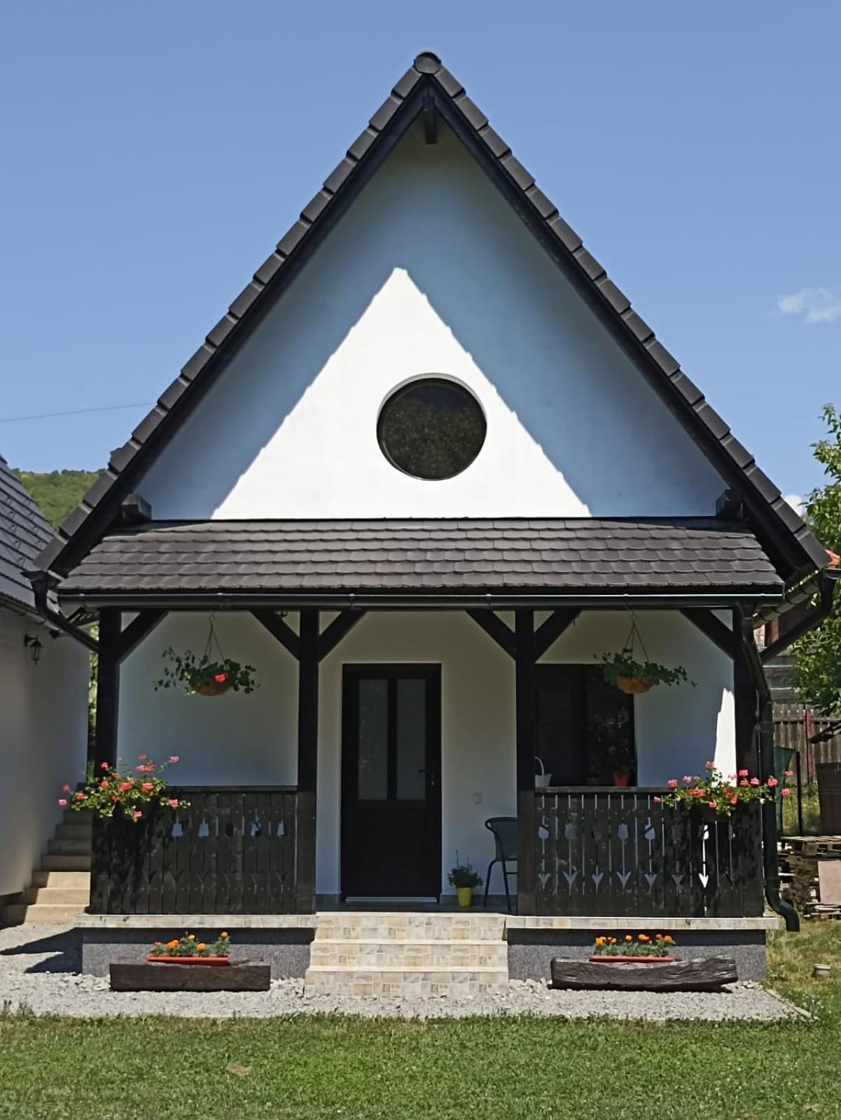 Zöld Tulipán view 3