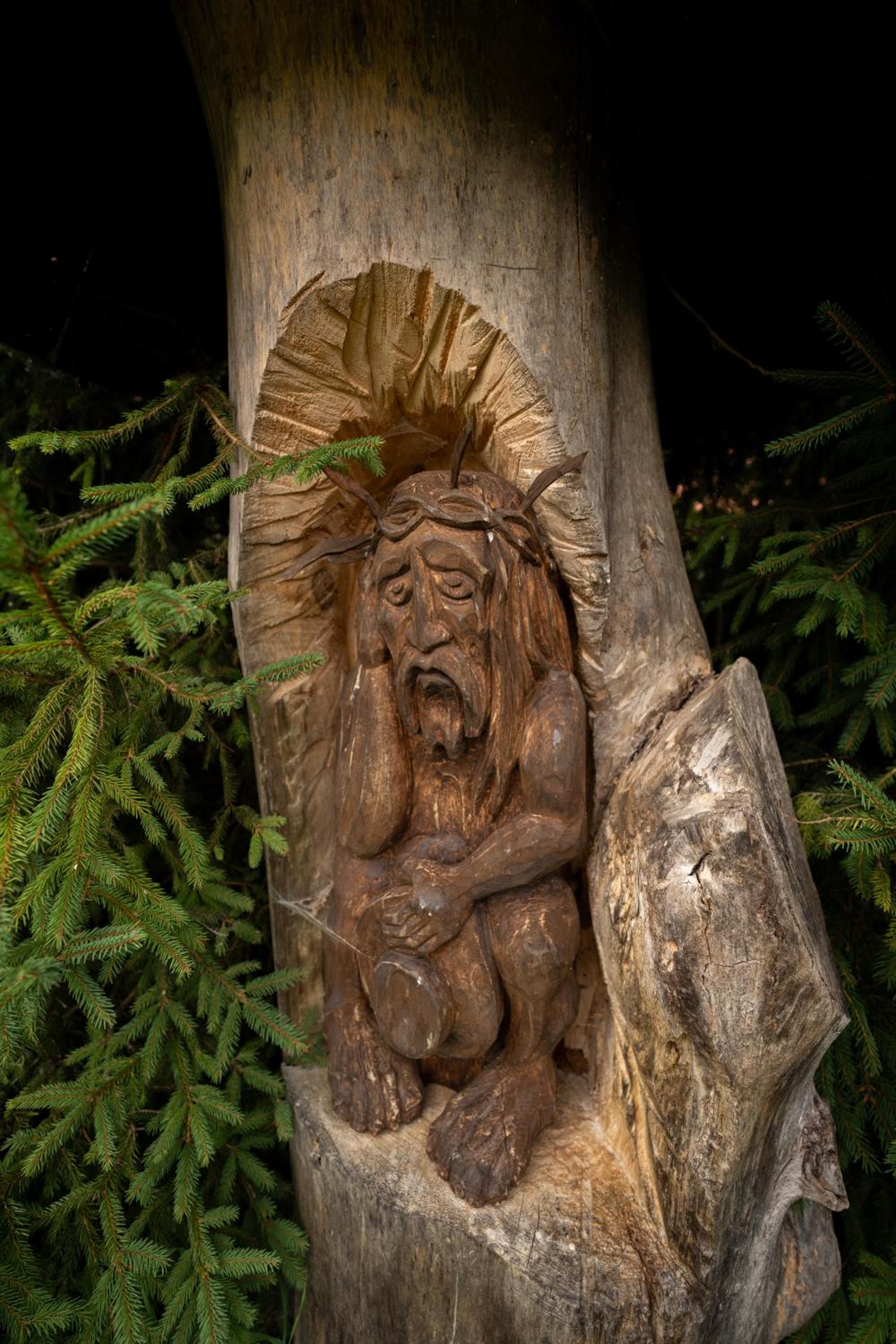 Photo 44