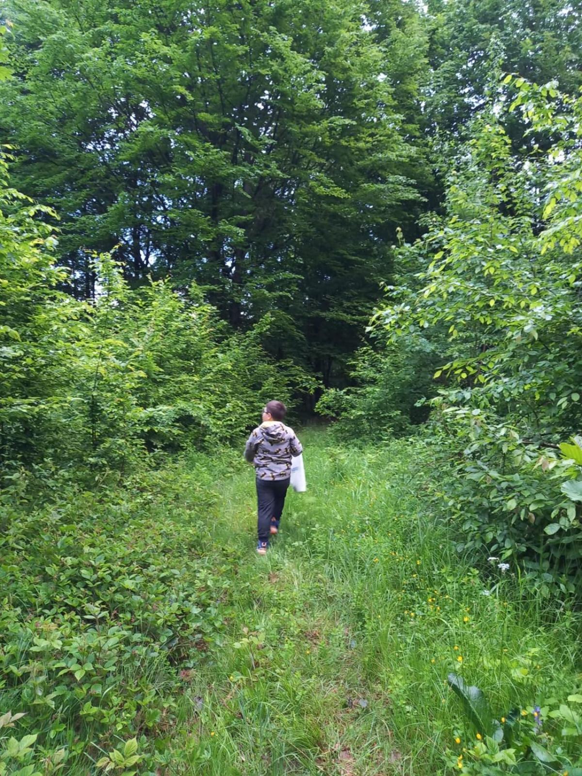 Photo 41