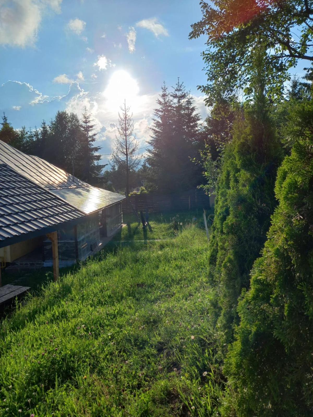 Photo 46