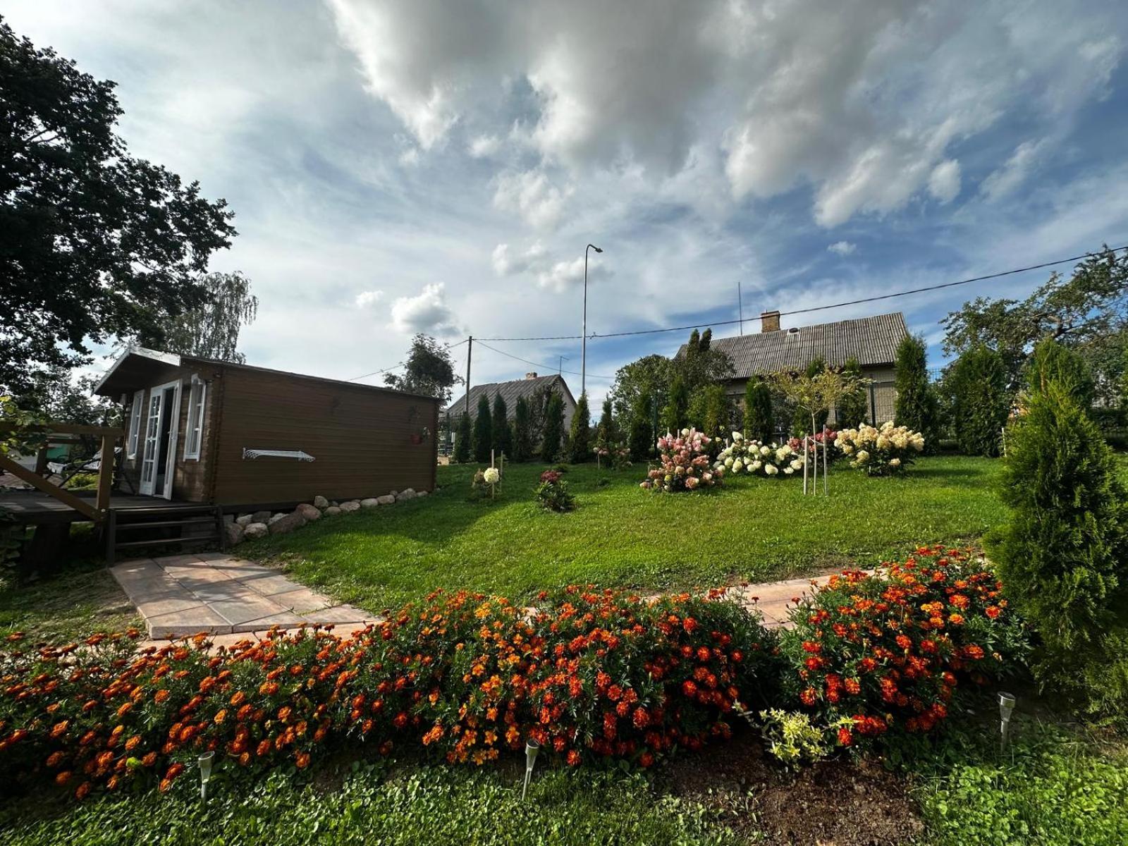 Photo 45