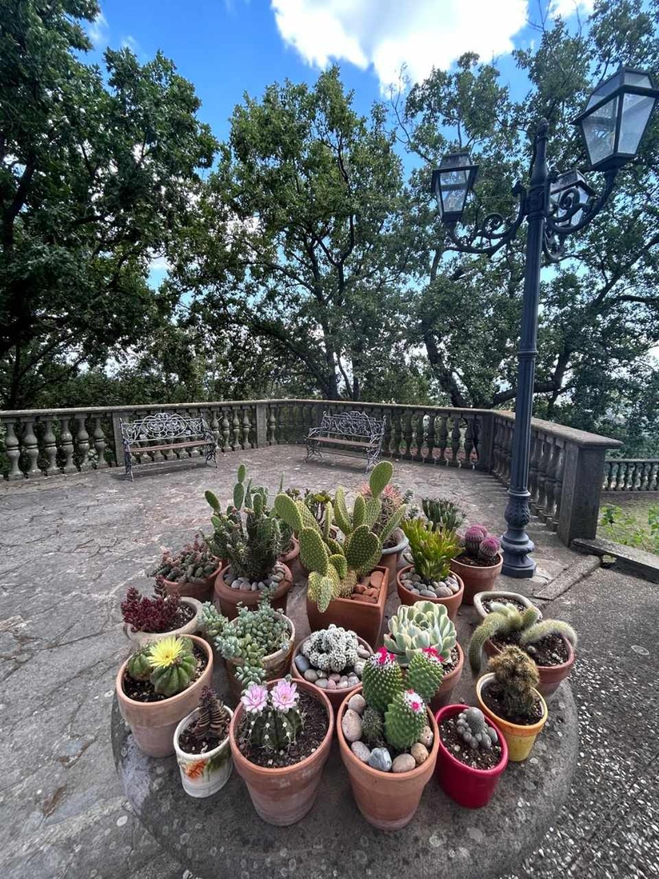 Casa Anna Maria view 5