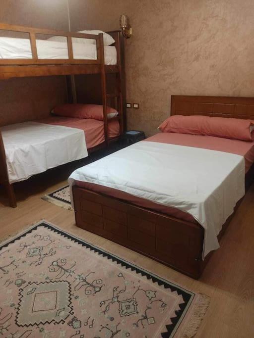 feel home with DAVID