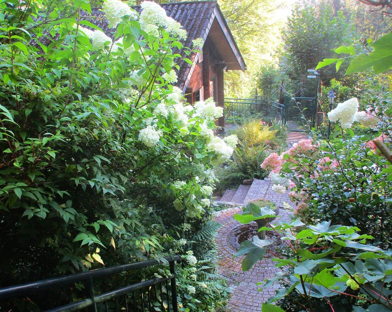 Ferienhaus Eulennest