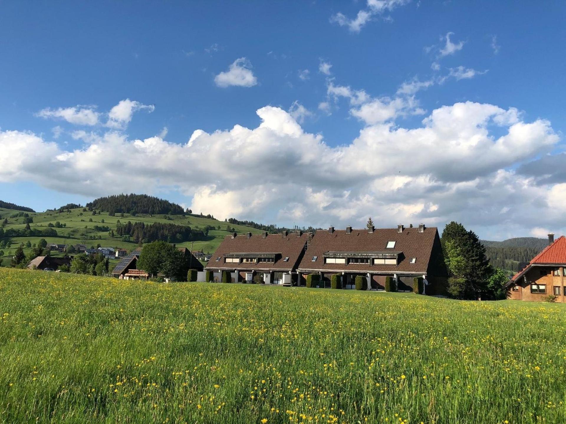 Ferienhaus mit Terrasse auf zwei Etagen im Grünen mit offenem Kamin - b48743