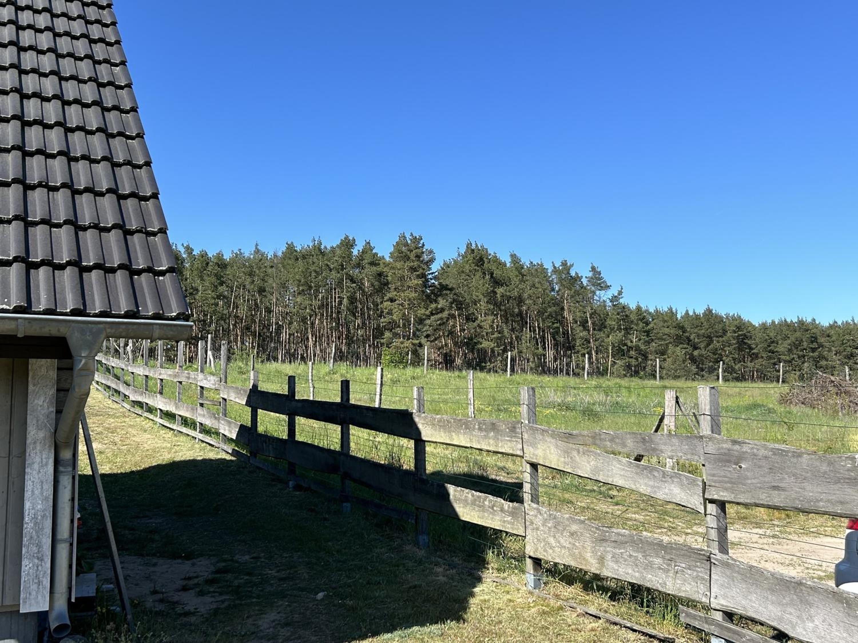 Holzhaus am Waldrand