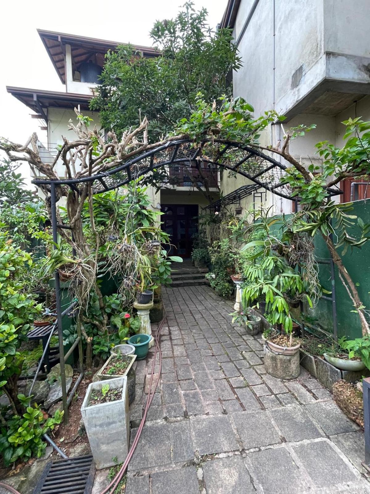 Bonsai House view 5