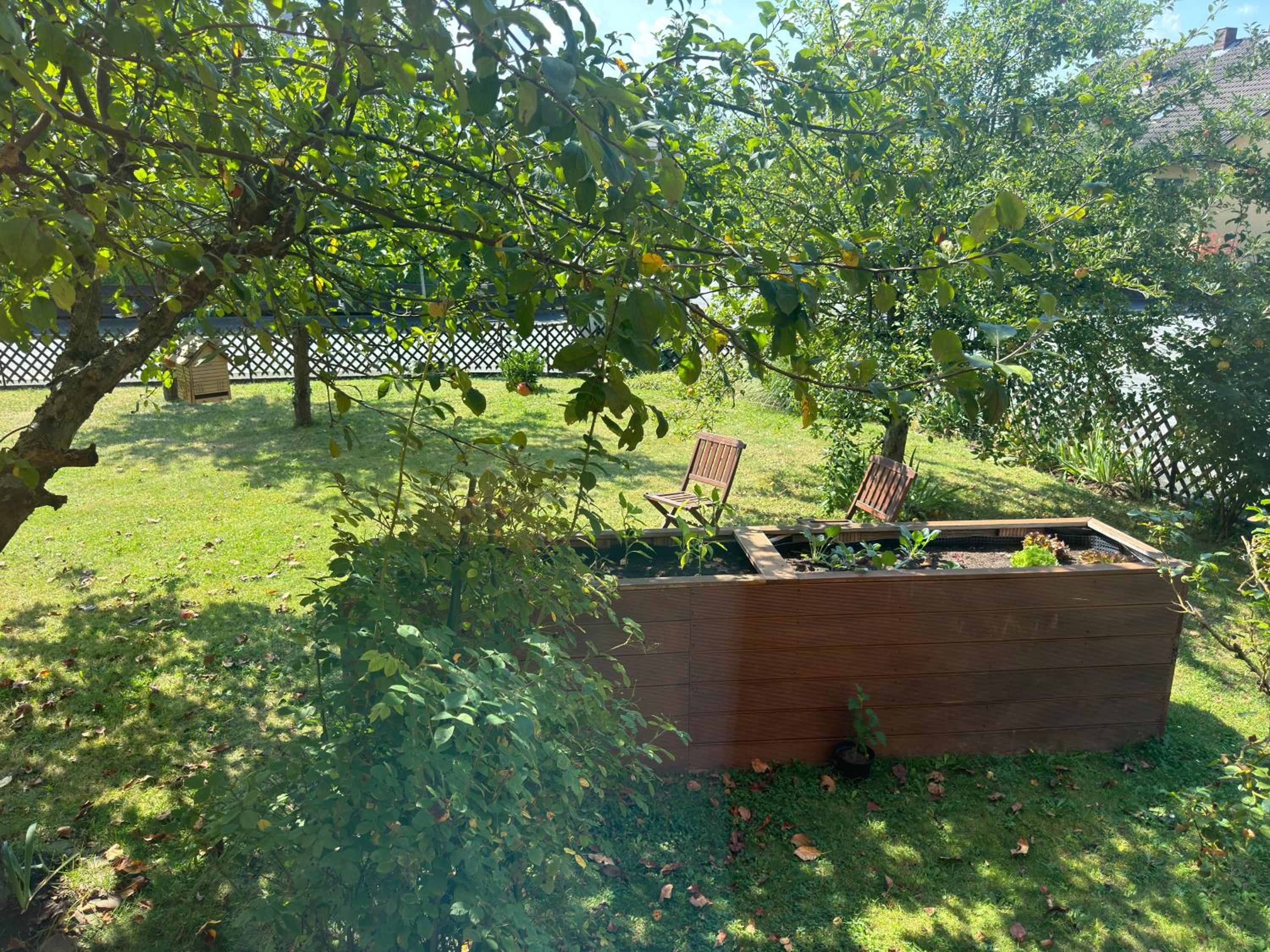 Photo 54
