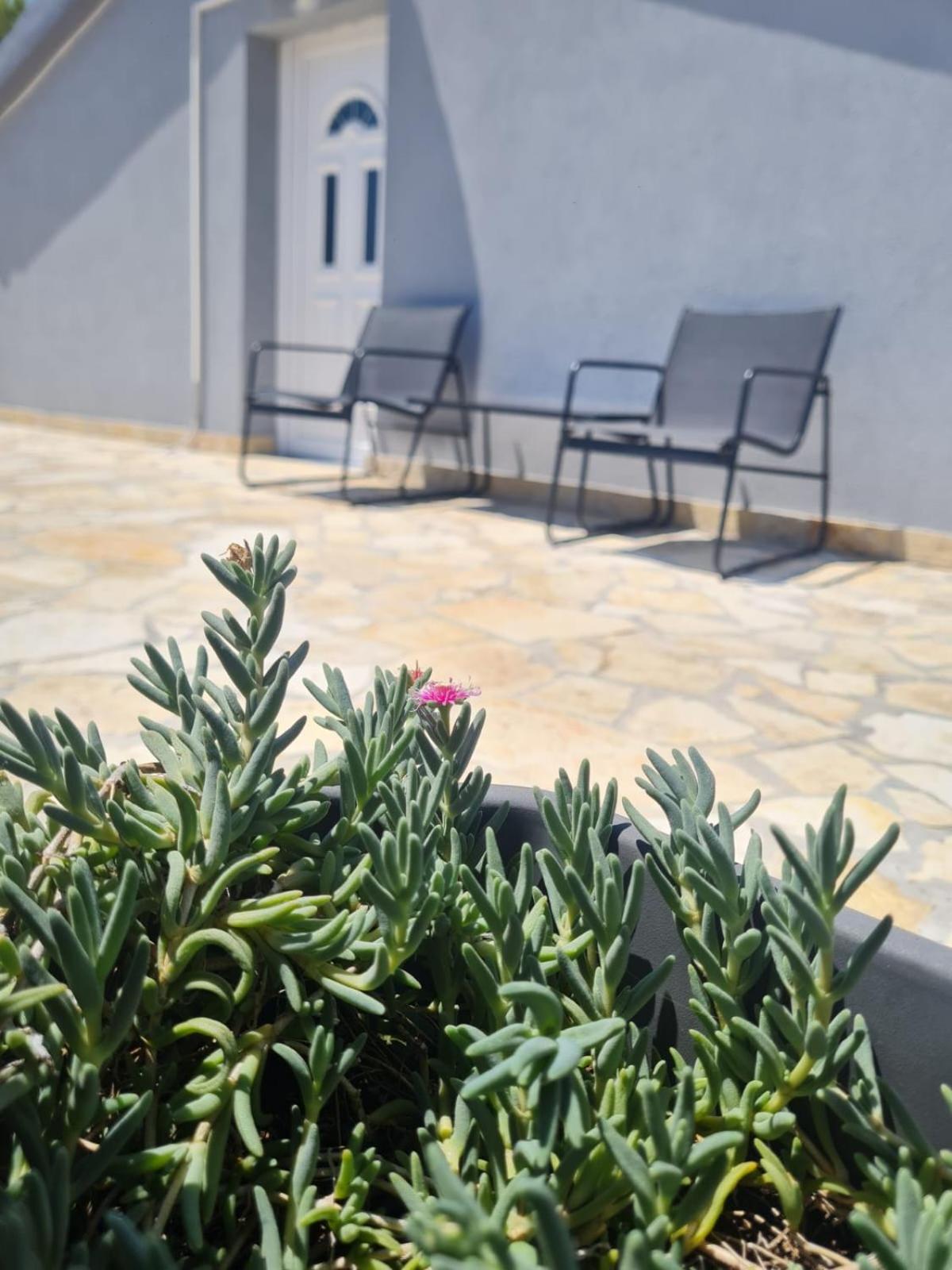 Apartmani Iva