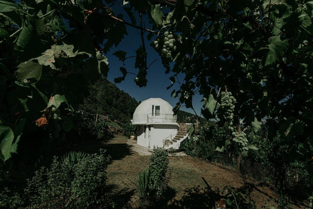 Amaghlebakari