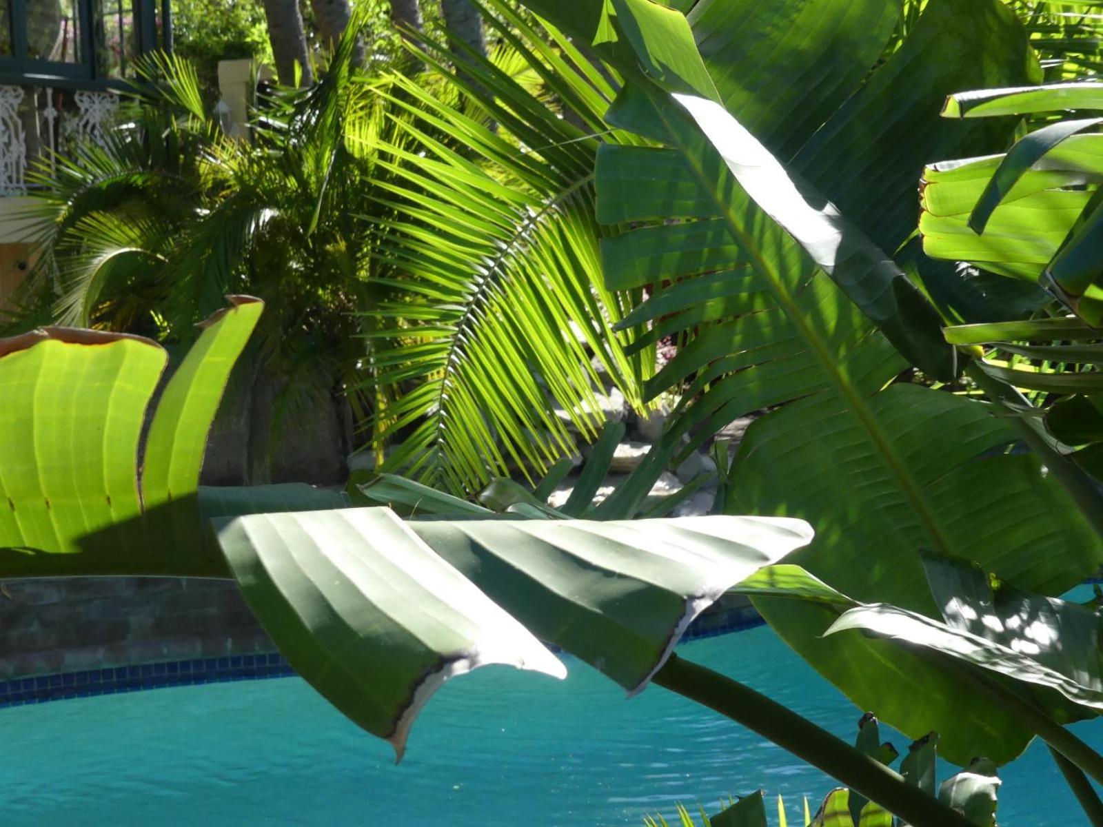 Mediterranean Villa Guesthouse