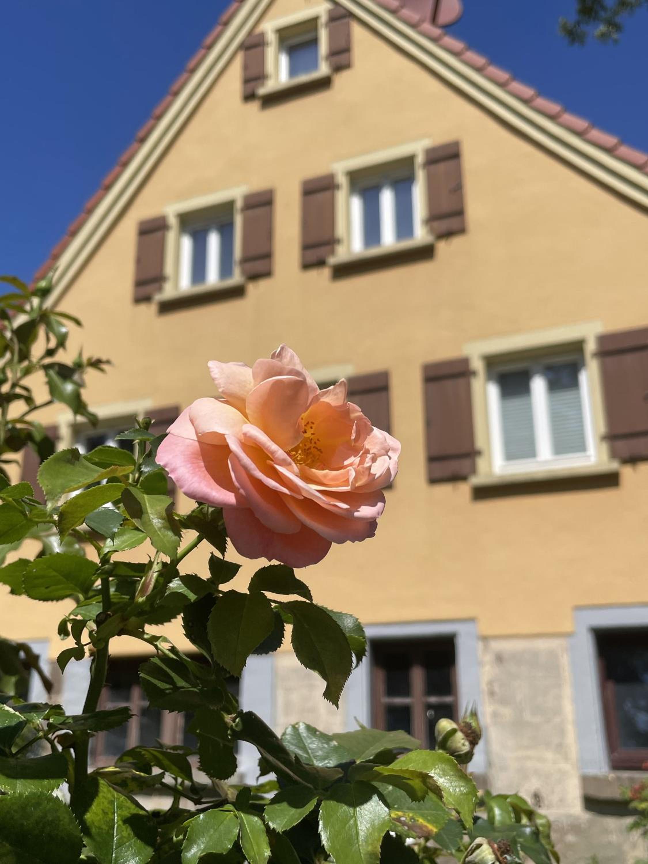 Alte Schmiede Ellrichshausen 1
