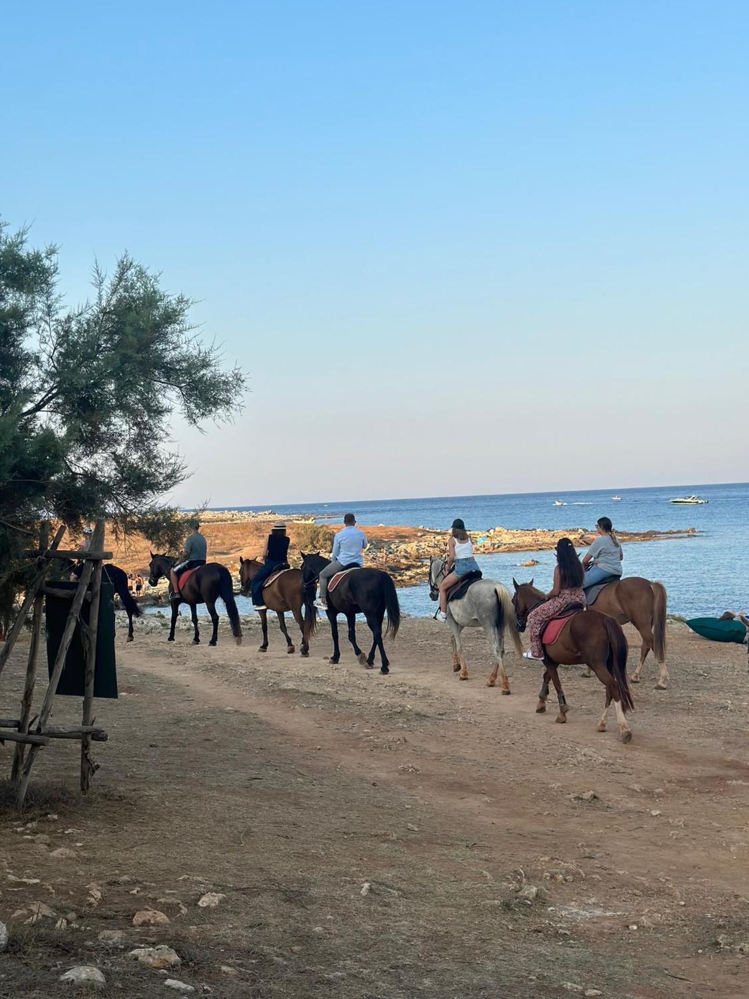 Dimora Santa Domenica