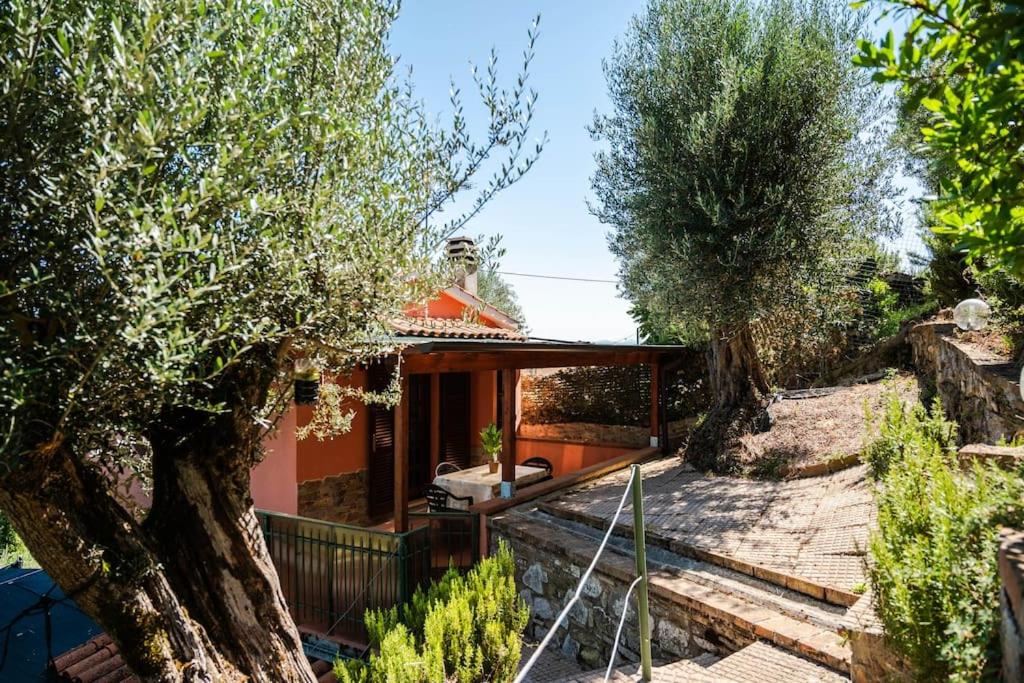 Villa Agello con Idromassaggio
