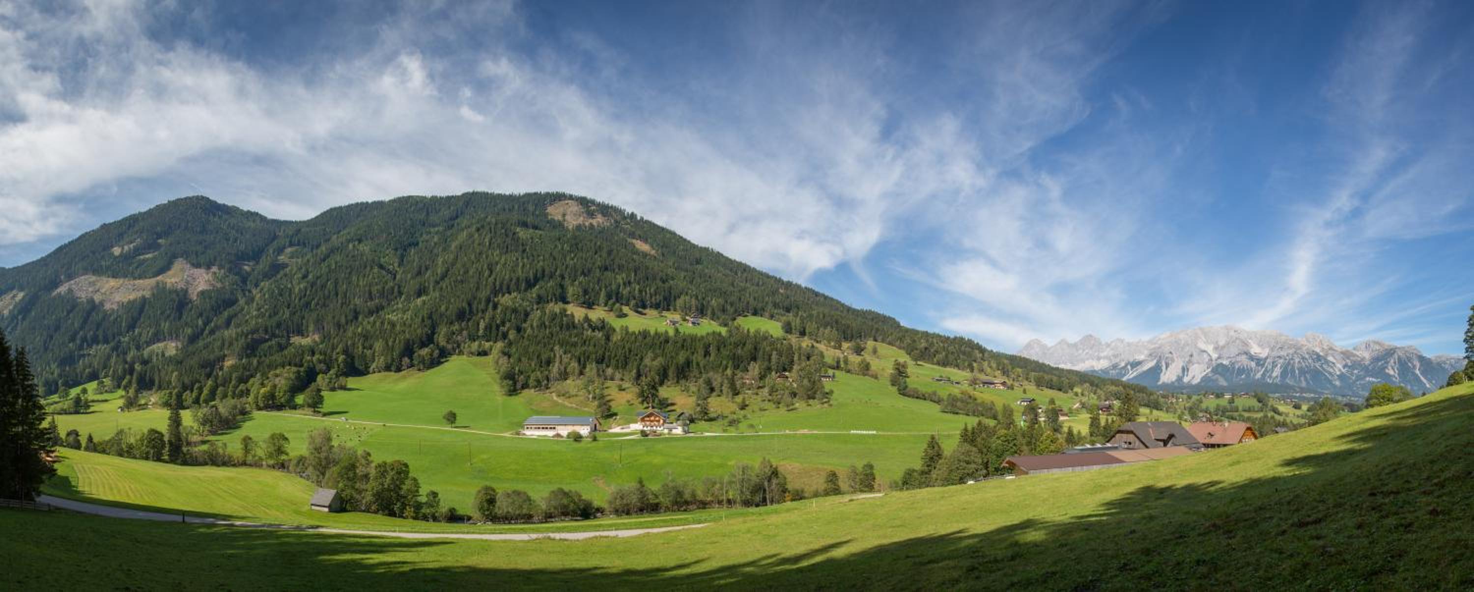 Rojerhof