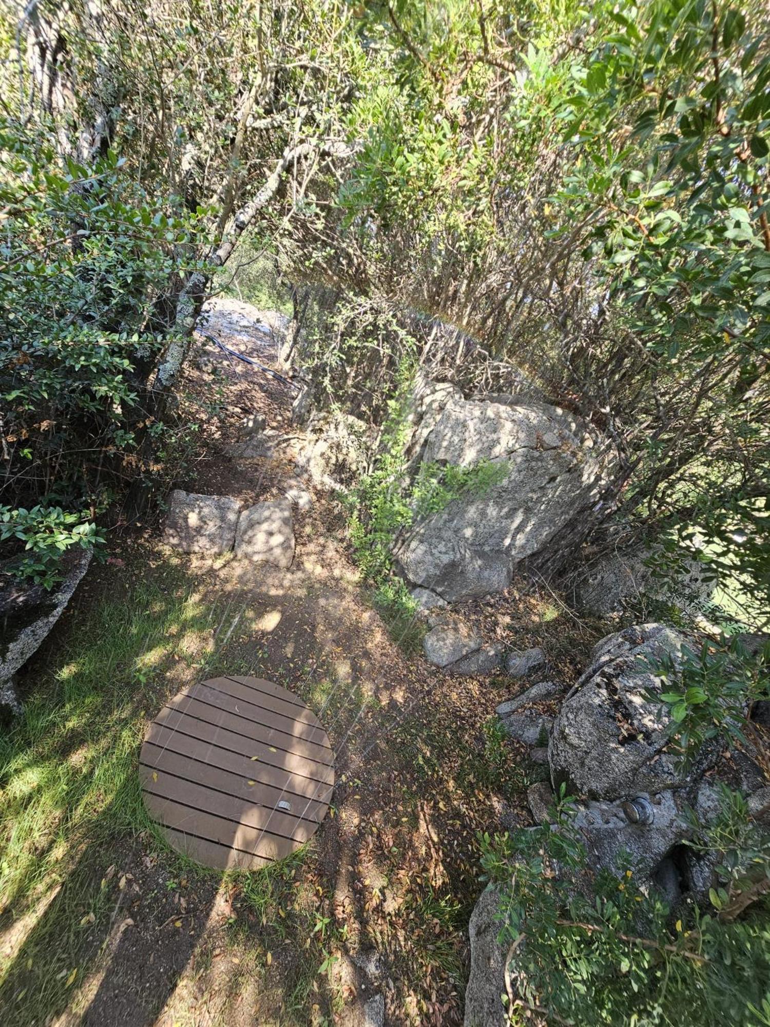 Photo 22