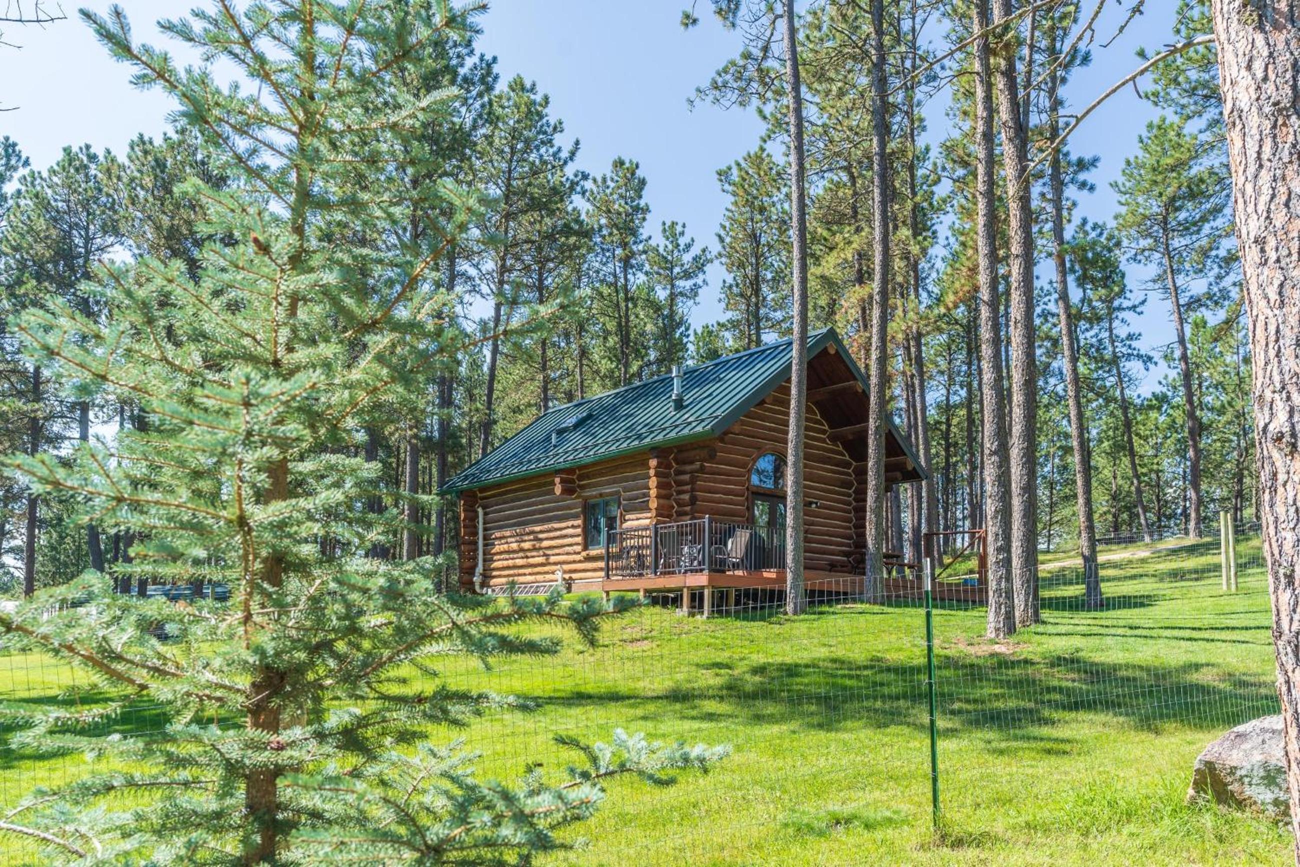 Pine Cabin