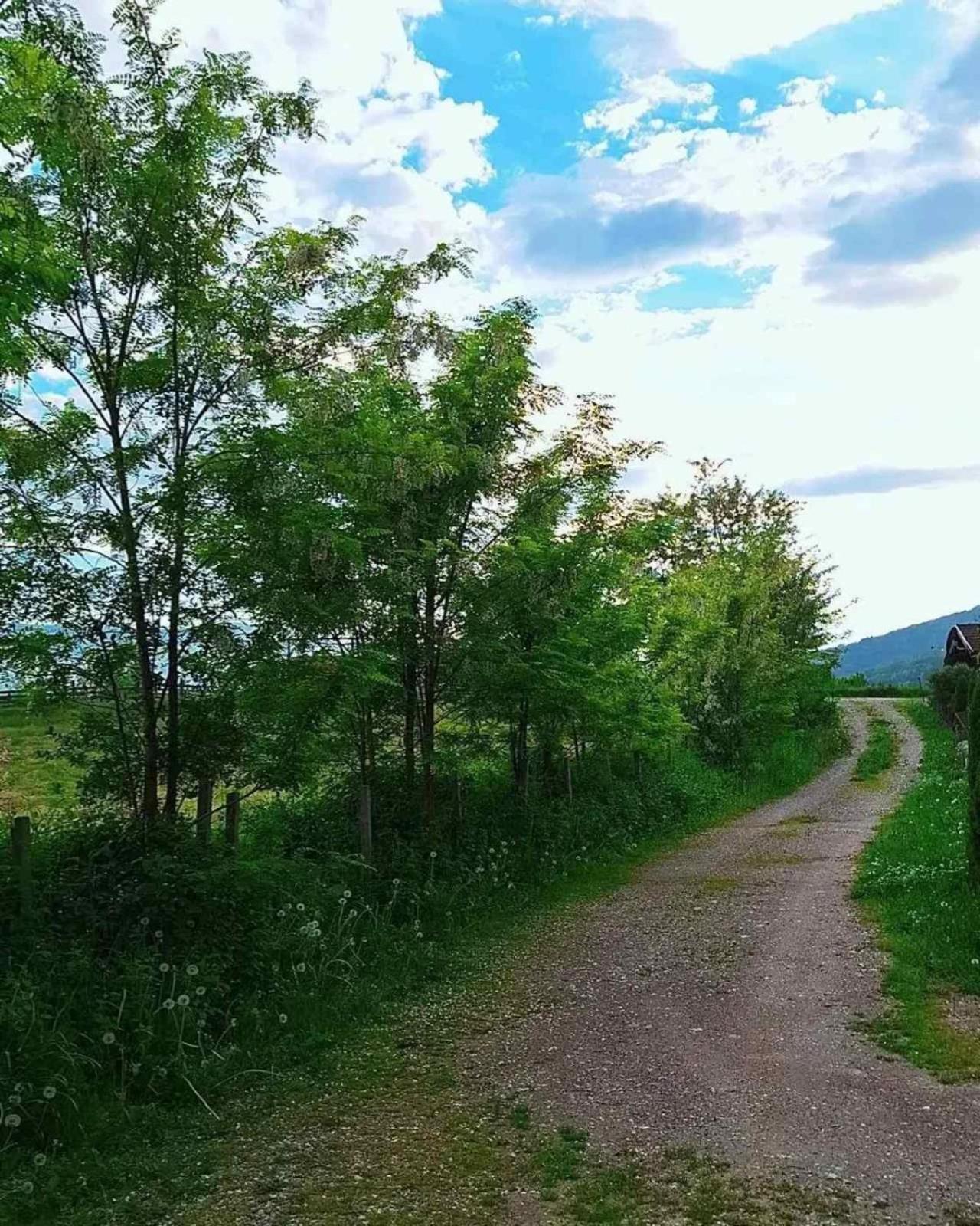 Marš na Drinu
