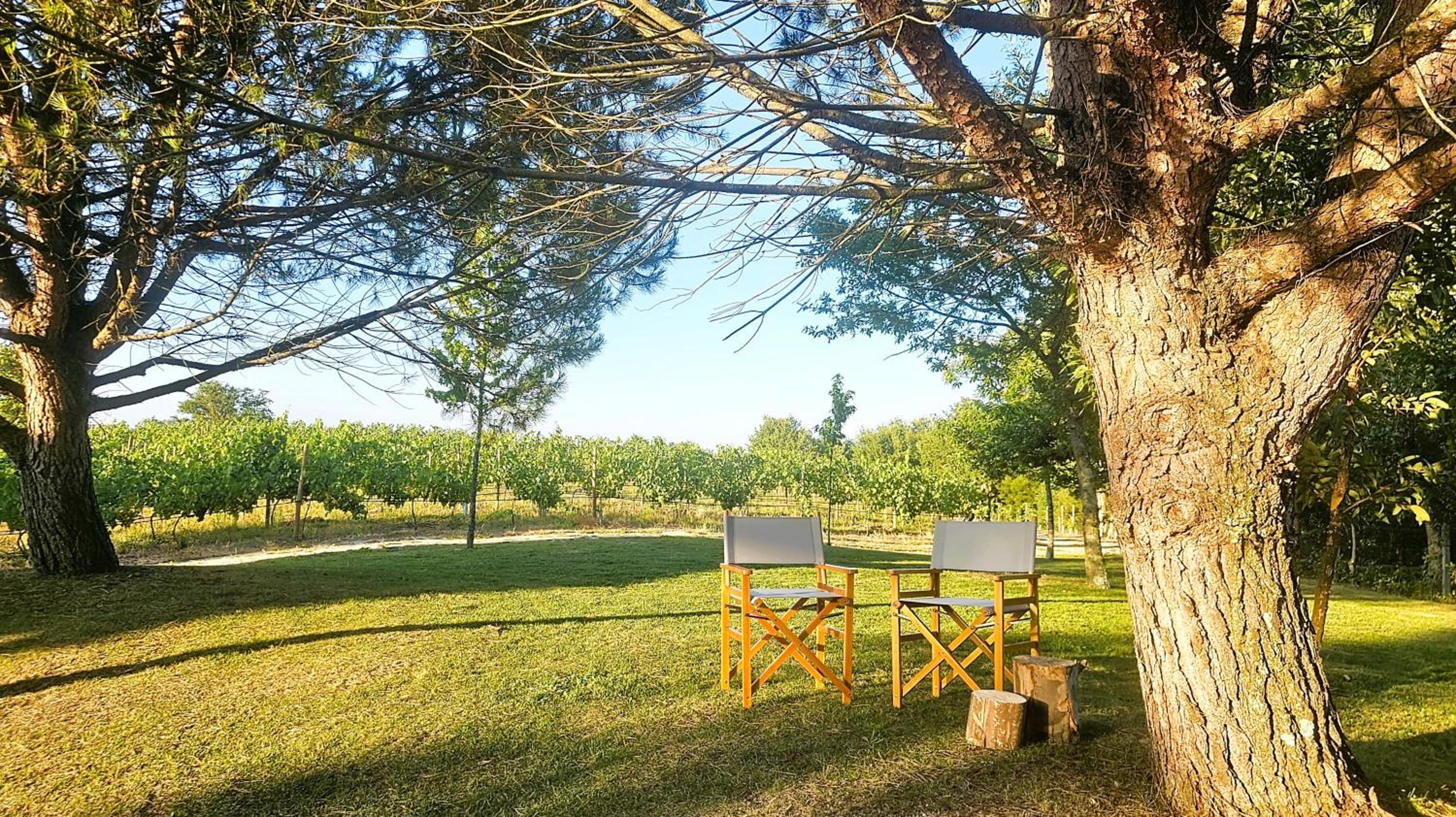 QUINTA DO RIBEIRO Garden House view 2