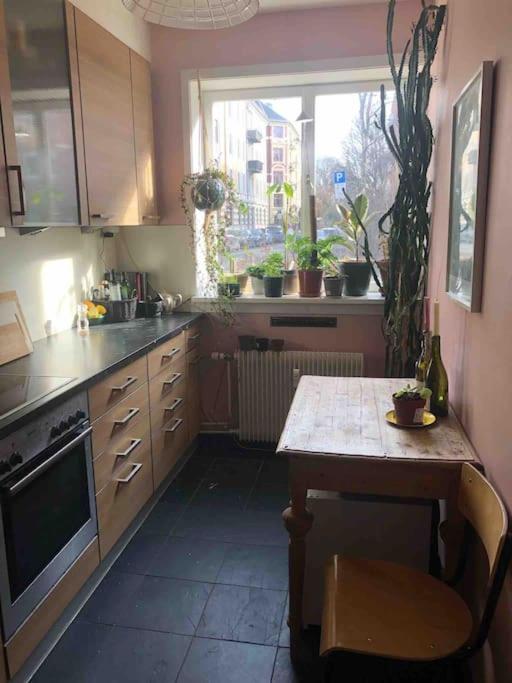 Casual central two-bedroom apartment view 4