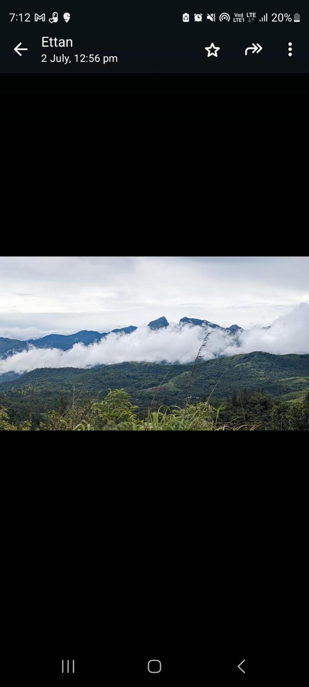 Spirit of the wild view 5