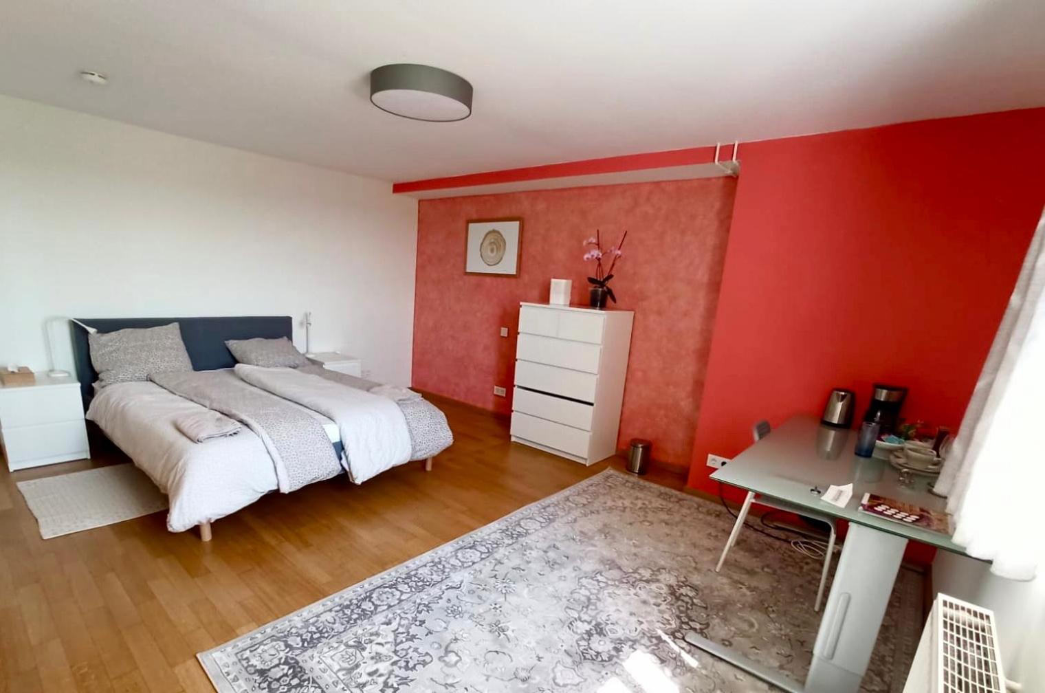 Cosy Room in Remich