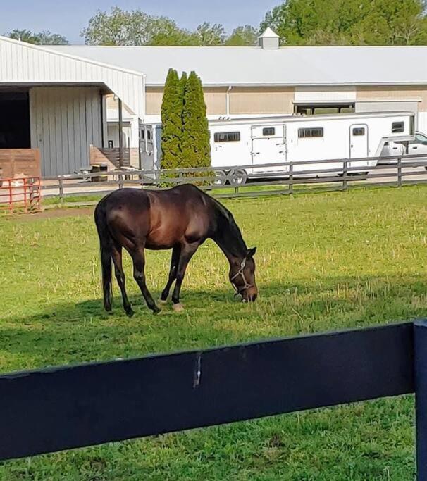 102 Acre Pet Friendly Horse Farm! Bring your horse too! view 5