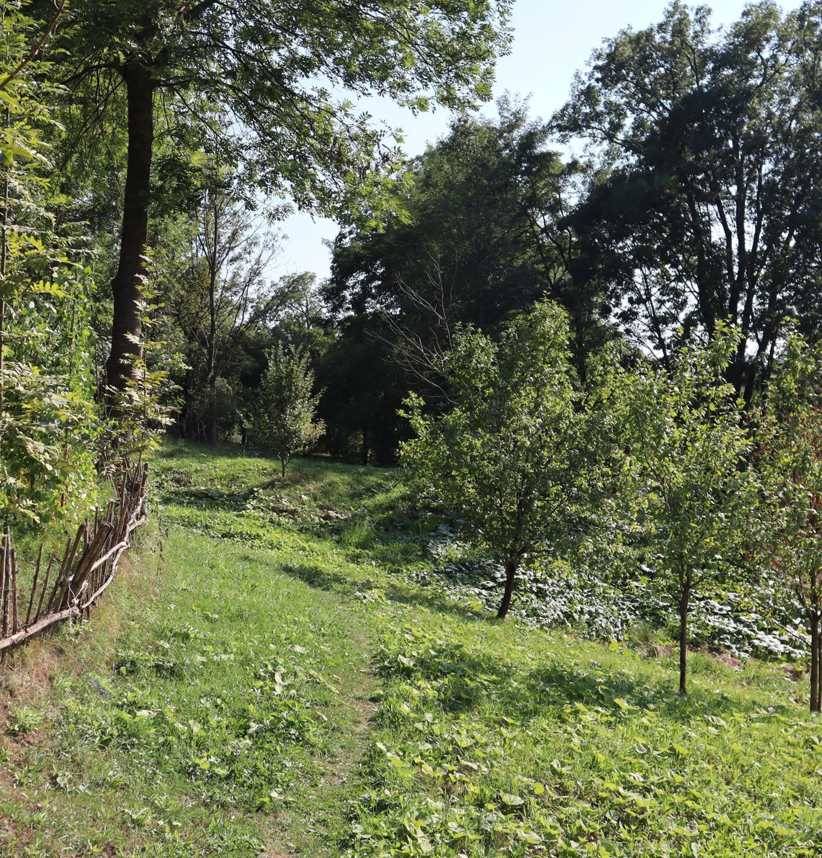Photo 28