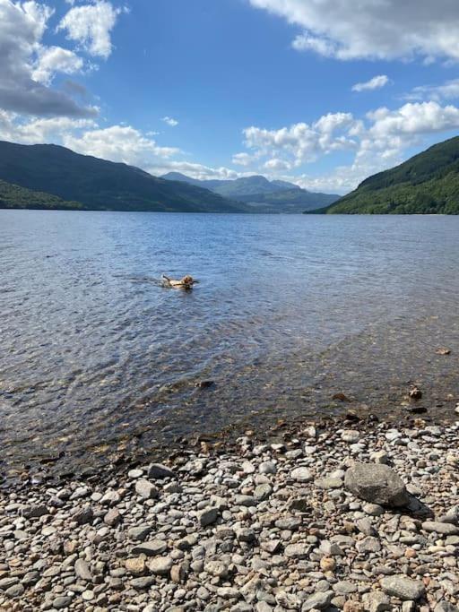 Lomond View Lodge view 5