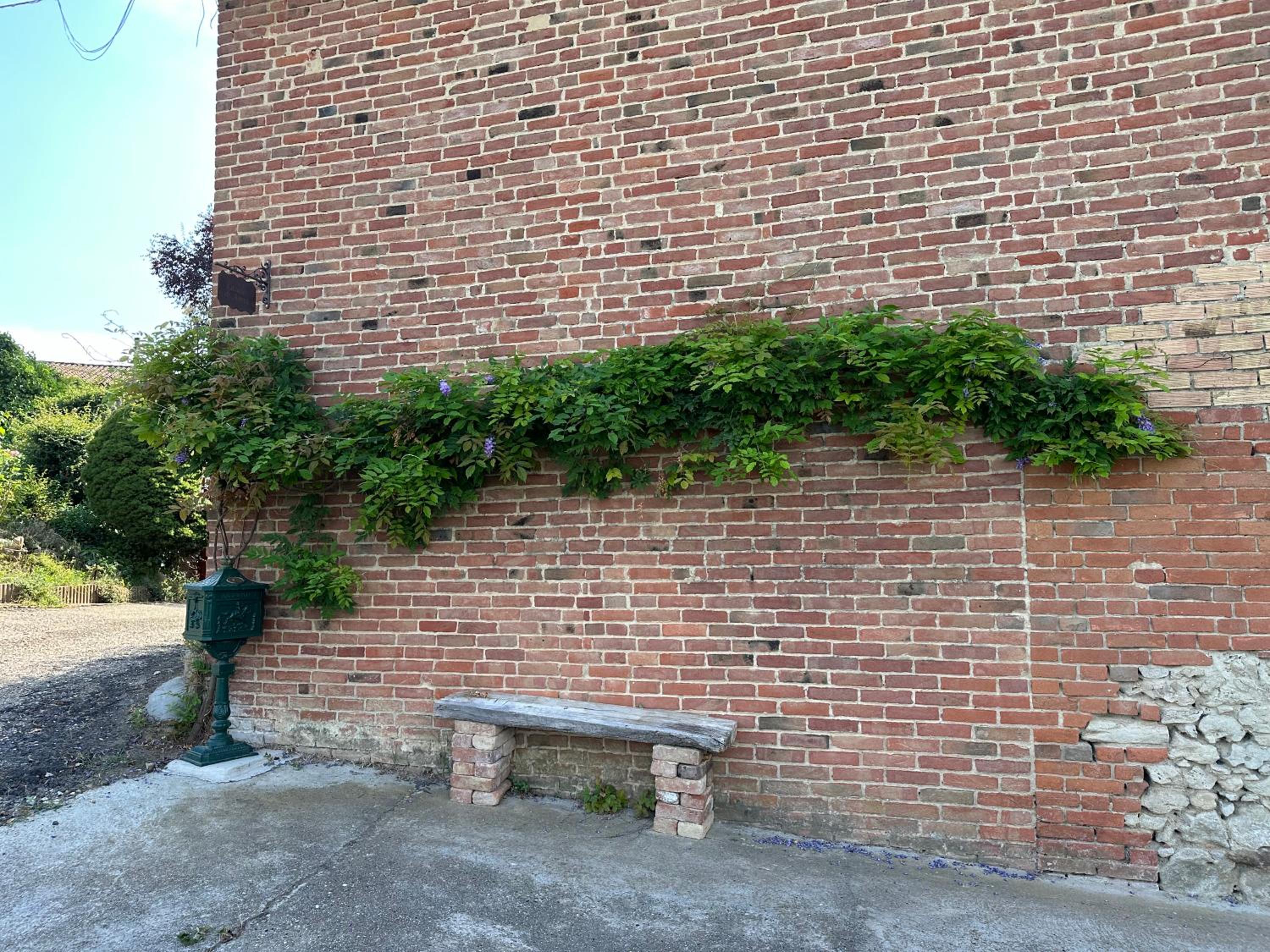Photo 15