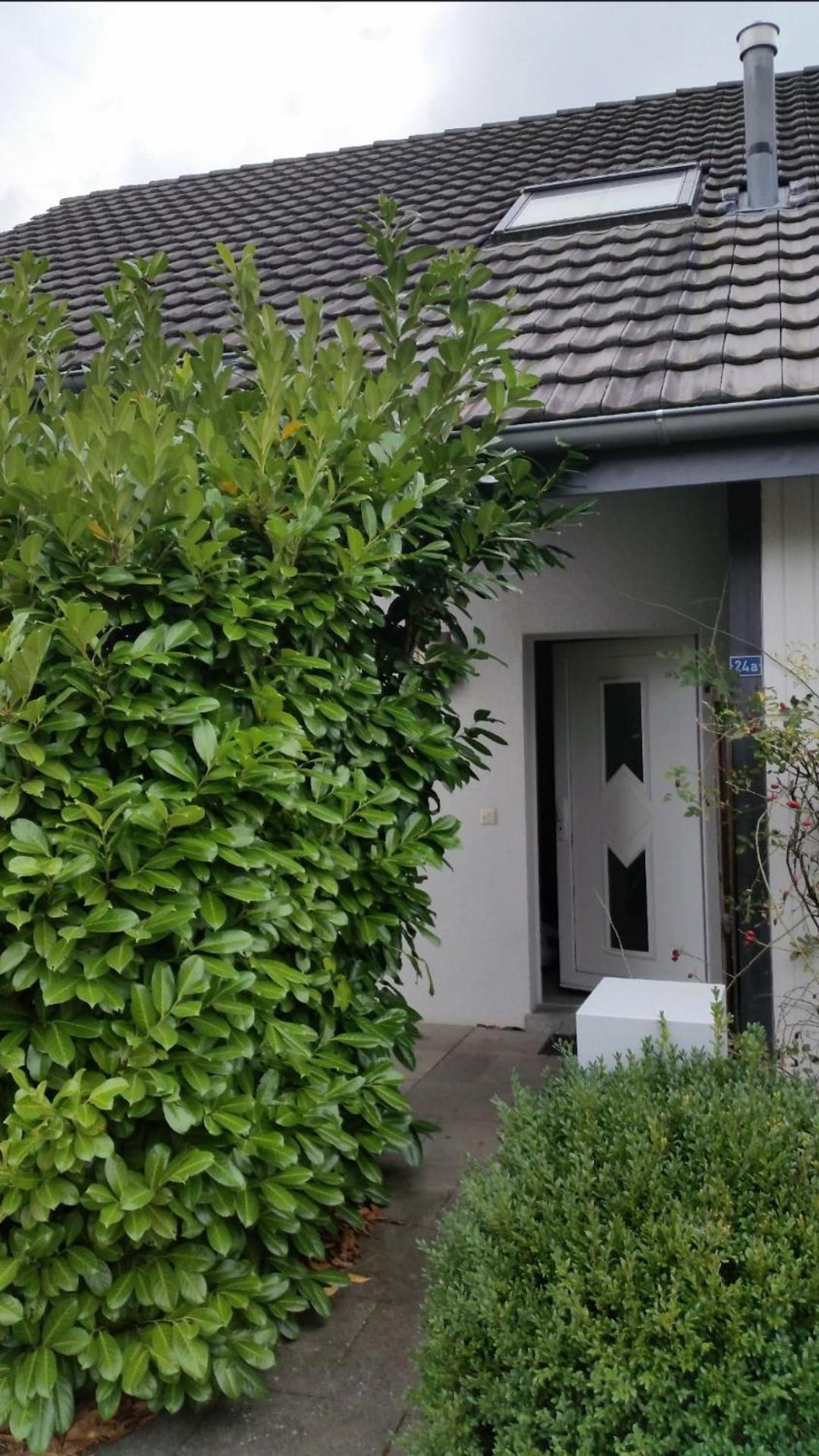 Villa Matthy Casa con giardino fronte fiume possibile nuotare