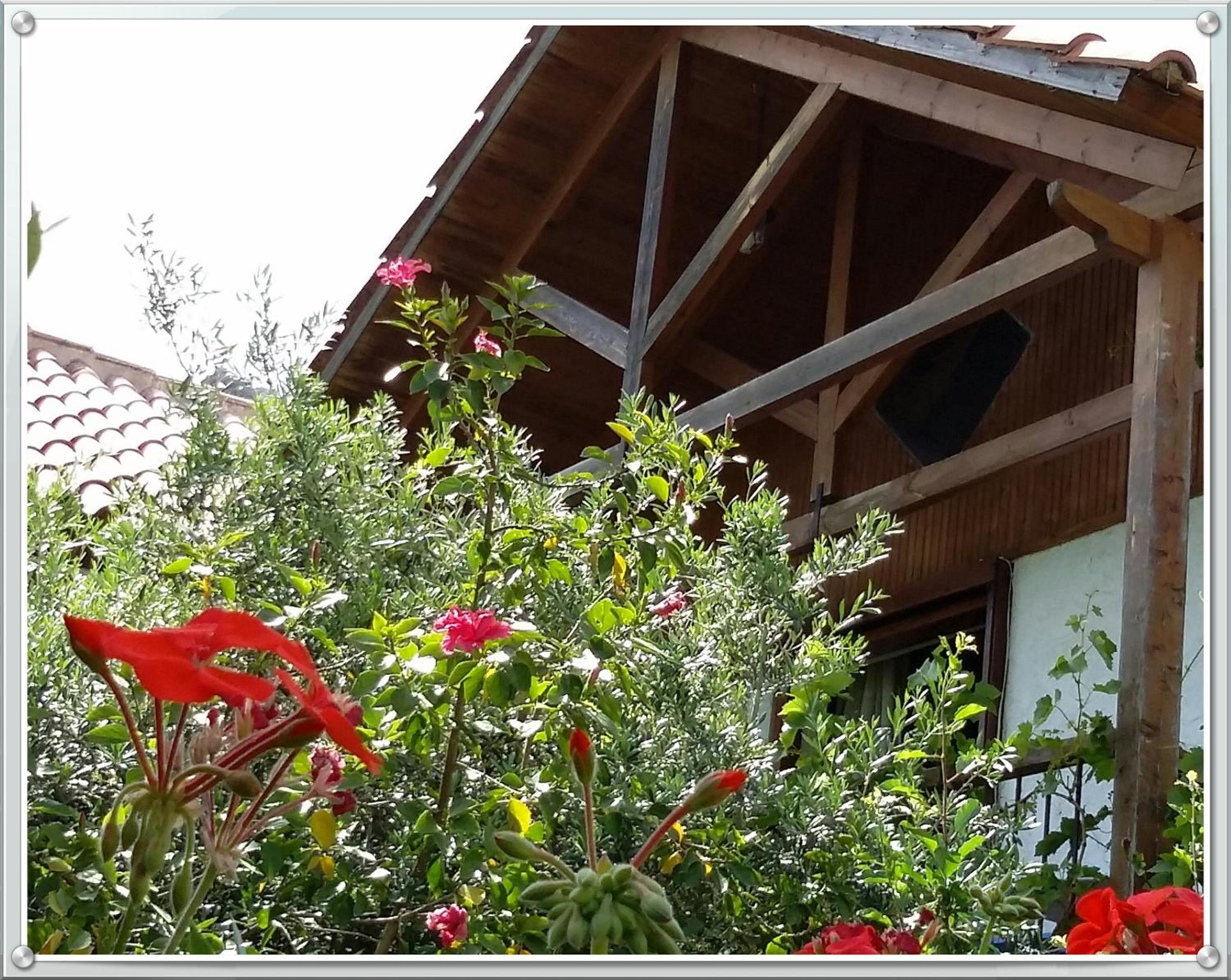 Stunning 2-Bedrooms private Cottage in Palaiochora photo 2