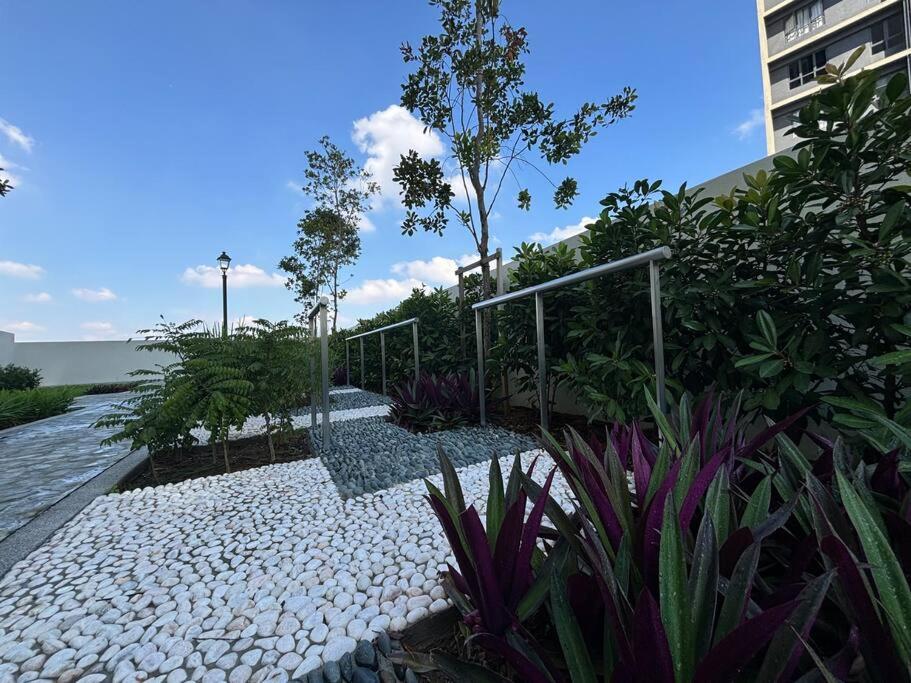 Stay Curious, Stay Here - Klang view 5