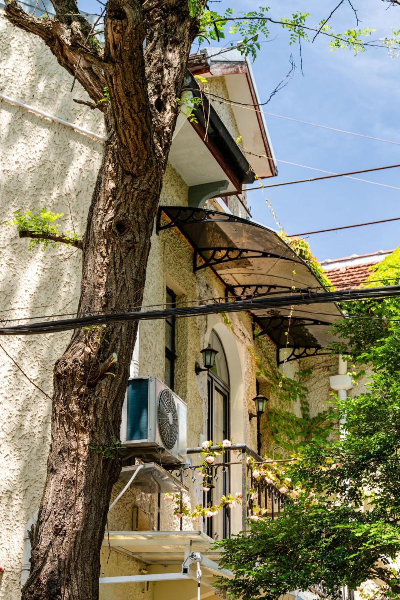 Shanghai Century Old House Downtown B&B