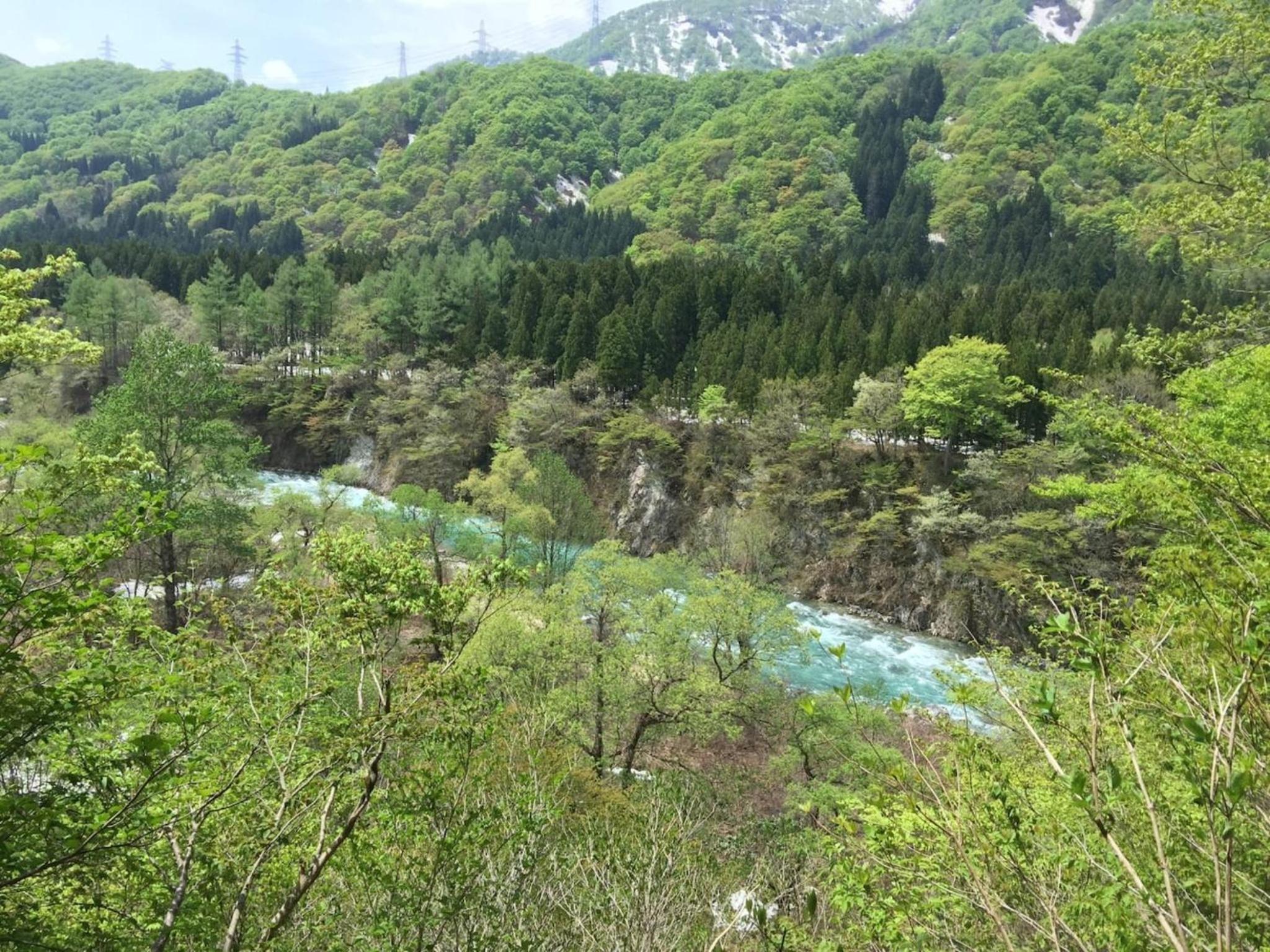 Photo 52