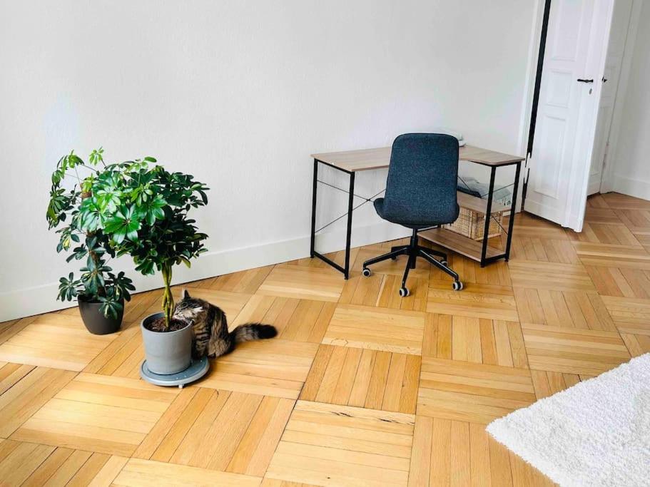 Zimmer in Mitte