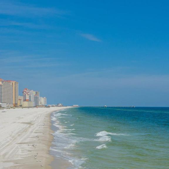 Coastal Harmony
