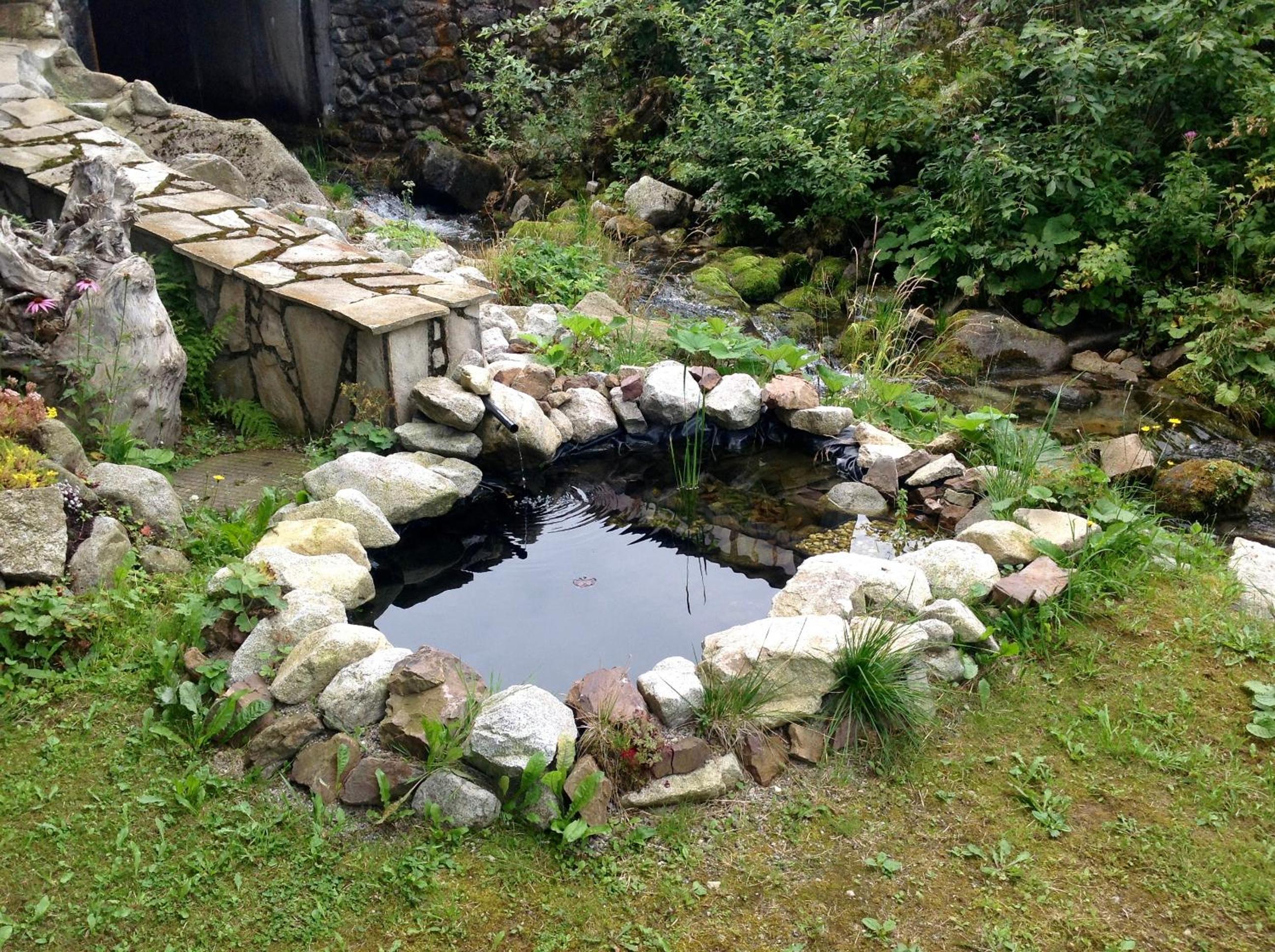 Photo 31