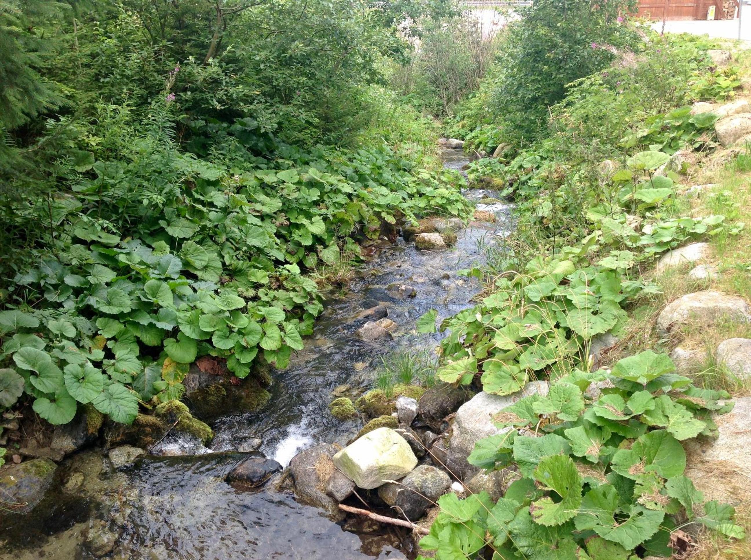 Photo 34